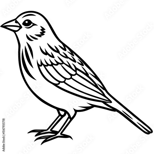 Yellowhammer Bird Sketch Vector Linework