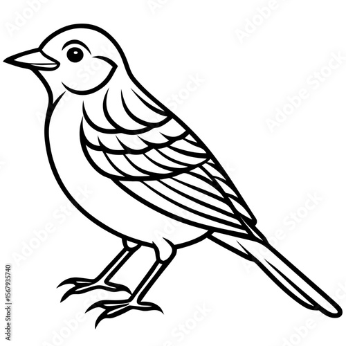 Yellowhammer Bird Sketch Vector Linework
