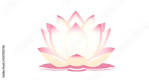 Pink lotus flower, Lotus bloom, Sacred lotus, Lotus blossom, Lotus vector, Pink flower illustration, Lotus symbol, Water lotus, Floral lotus, Lotus on water, Lotus plant, Spiritual lotus, Indian lotus