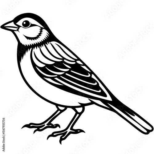 Yellowhammer Bird Sketch Vector Linework