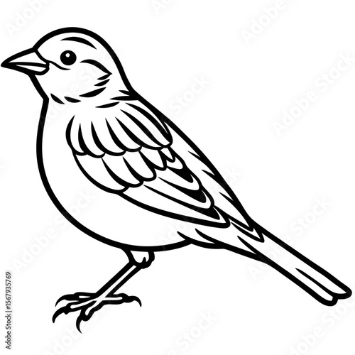 Yellowhammer Bird Sketch Vector Linework