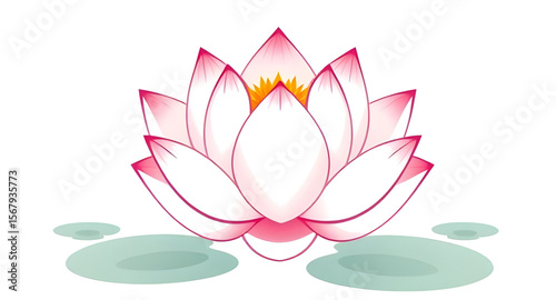Pink lotus flower, Lotus bloom, Sacred lotus, Lotus blossom, Lotus vector, Pink flower illustration, Lotus symbol, Water lotus, Floral lotus, Lotus on water, Lotus plant, Spiritual lotus, Indian lotus