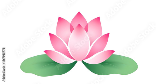 Pink lotus flower, Lotus bloom, Sacred lotus, Lotus blossom, Lotus vector, Pink flower illustration, Lotus symbol, Water lotus, Floral lotus, Lotus on water, Lotus plant, Spiritual lotus, Indian lotus