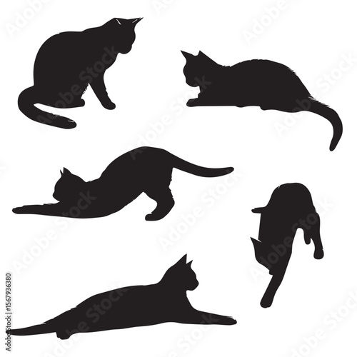 cat stretching silhouette