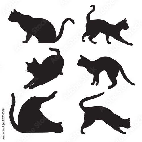 cat stretching silhouette