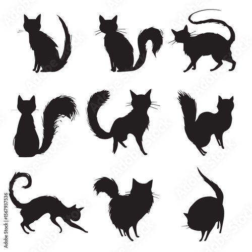 cat tail silhouette