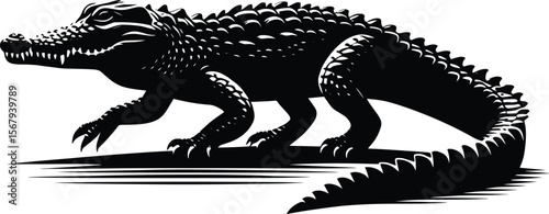 Striking crocodile vector illustration, black & white reptile art on isolated white background