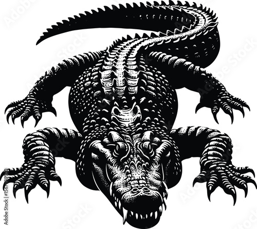 Striking crocodile vector illustration, black & white reptile art on isolated white background
