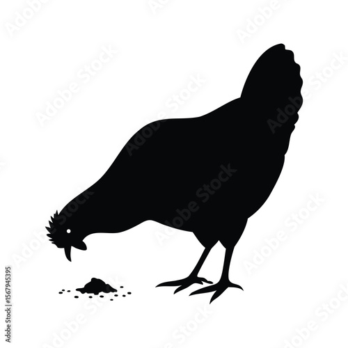 Black silhouette of a hen pecking at food on a white background