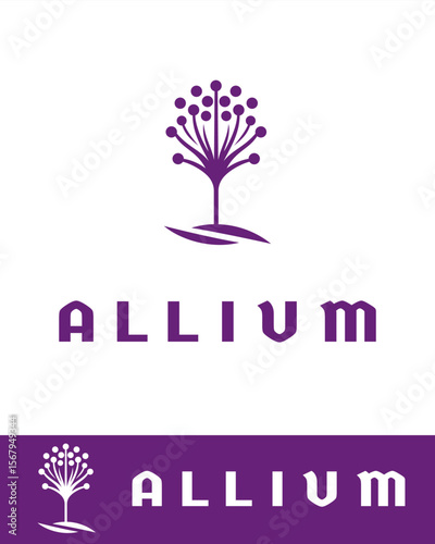 Elegant allium flower logo design in purple with stylized circular buds and curved stems