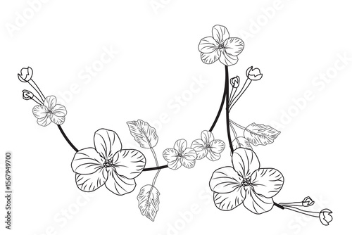 Murals, vintage, elegant, floral art, black and white flowers, vector illustration design background 