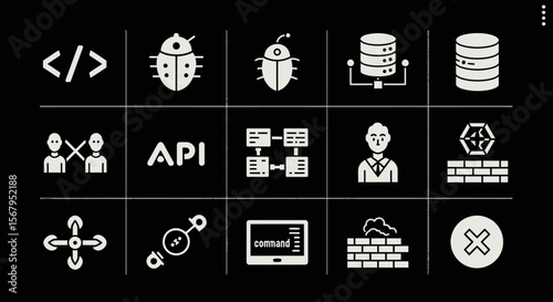 A collection of white software development icons on a black background, depicting bugs, databases, APIs, security, and networking.