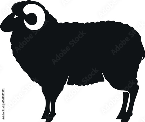 Merino sheep silhouette illustration