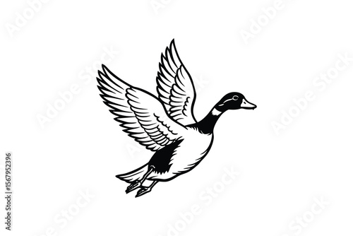 Flying Mallard Duck Illustration in Black and White Silhouette