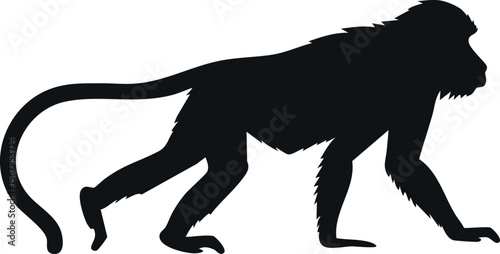 Baboon silhouette illustration