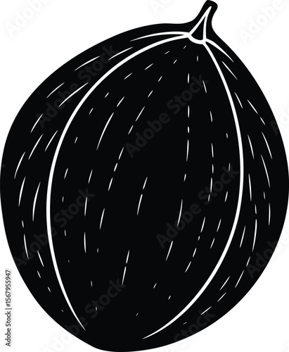 Whole nutmeg silhouette black and white illustration