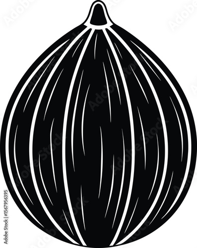 Whole nutmeg silhouette black and white illustration