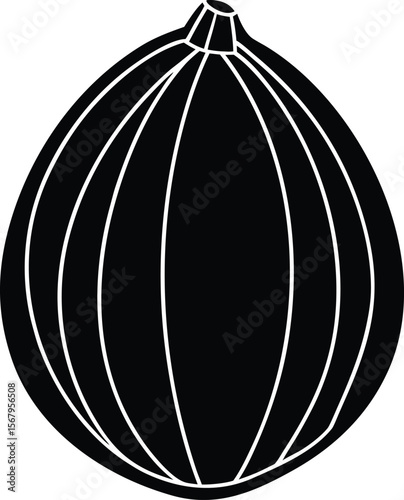 Single whole nutmeg silhouette black and white illustration
