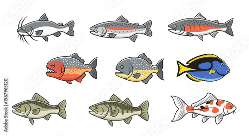 Vector collection of cartoon fish species including catfish trout piranha koi and blue tang marine life vector
