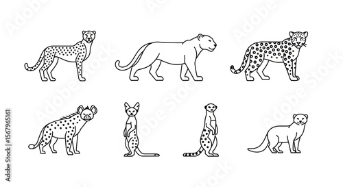 Vector collection of african animals vector illustration cheetah leopard hyena meerkat and ferret line art 100