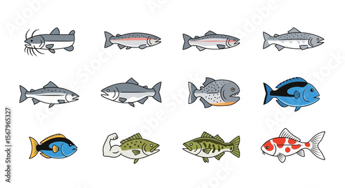Vector collection of different types of freshwater and saltwater fish species illustration vector graphic design