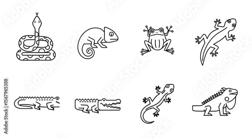 Vector reptile and amphibian vector line art illustration collection featuring snake chameleon frog and lizard set