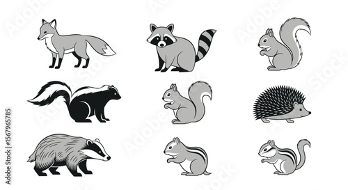 Vector illustration of woodland animals including fox raccoon squirrel skunk badger hedgehog and chipmunk drawing