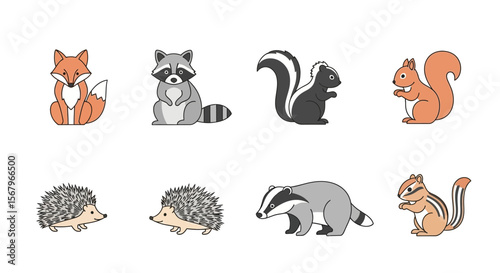 Vector illustration of woodland animals fox raccoon skunk squirrel hedgehog badger chipmunk wildlife nature art
