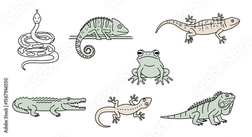 Vector illustration of reptiles and amphibians featuring a snake, chameleon, gecko, frog, crocodile, iguana