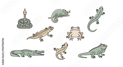 Vector reptiles and amphibians illustration featuring snake crocodile iguana chameleon frog and lizards drawing art