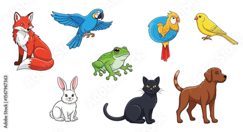 Vector cartoon animal illustration featuring fox parrot frog rabbit cat dog canary macaw and other animals