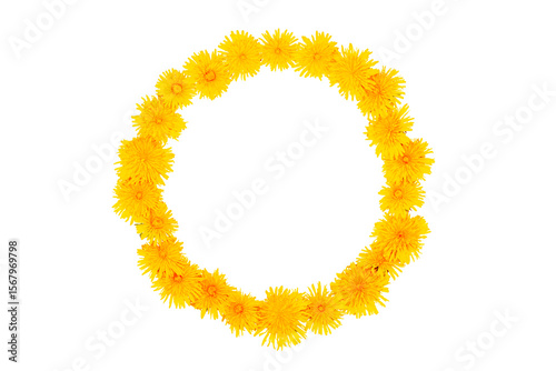 Wreath. Natural pattern. dandelion flowers isolated on white background.