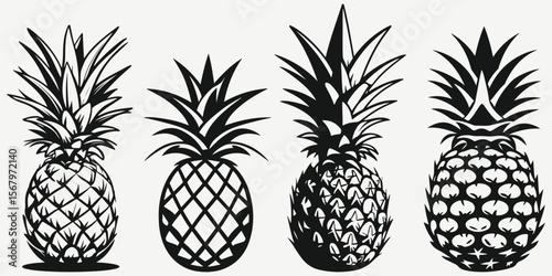 pineapple sketch illustration vector