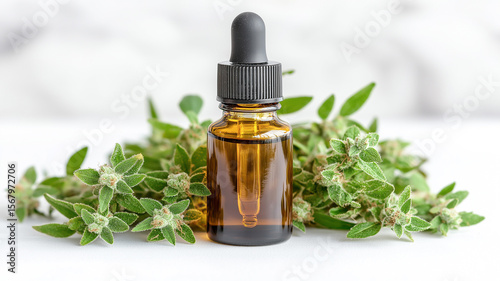 Amber dropper bottle with herbal essential oil, surrounded by fresh green oregano leaves on a white background.