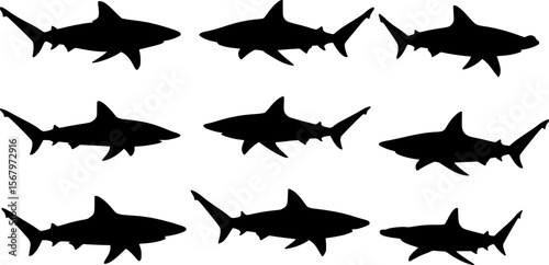 black silhouettes of various sharks, hammerhead shark, sharks swimming, aquatic life, marine animals