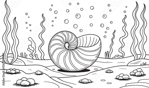 Nautilus Shell Line Art, Ocean Floor Illustration, Seaweed Underwater Vector, Marine Shell Drawing, Aquatic Outline Art, Sea Shell Coloring Page, Black White Ocean Design
