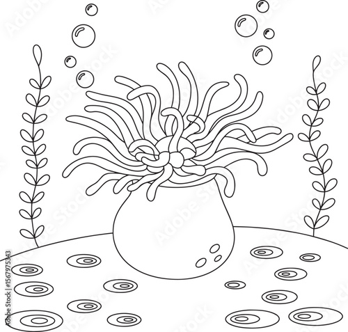 Sea Anemone Coloring, Underwater Plants Drawing, Ocean Scene Line Art, Marine Life Outline, Seaweed Illustration, Ocean Floor Sketch, Aquatic Nature Art