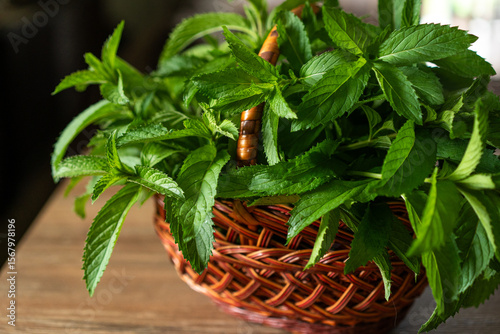 Freshly harvested mint leaves in a rustic basket ready for culinary delights in a cozy kitchen setting