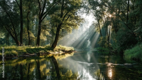 Sunlit river in green forest peaceful nature scene