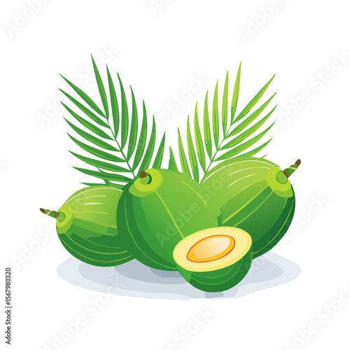 Illustration of three green coconuts with leaves and one half-cut showing the kernel