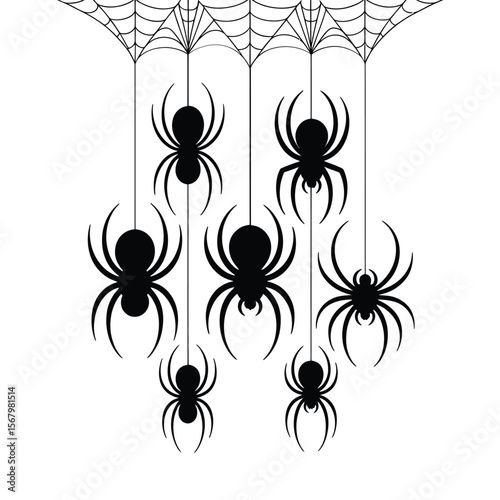 Black spiders hanging from a web white