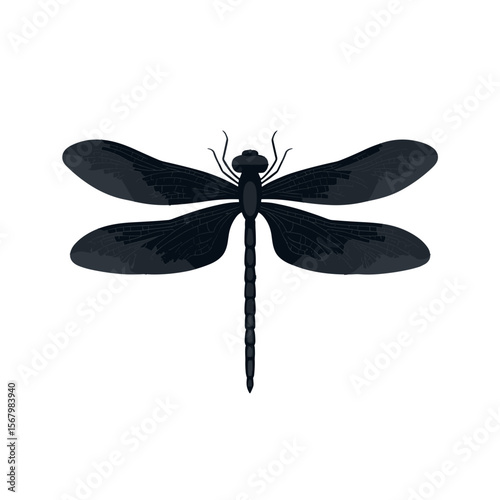 A striking vector illustration of a dragonfly with intricate wing details, set against a clean white background, symbolizing nature's beauty.
