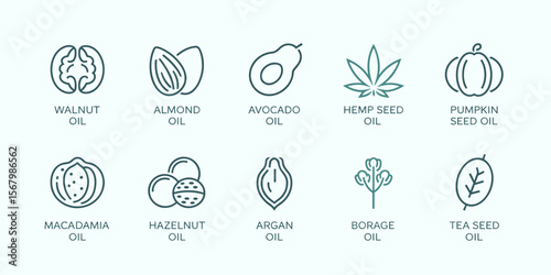 Seed oil icons: walnut, almond, avocado, hemp, pumpkin, macadamia, hazelnut, argan, borage, tea