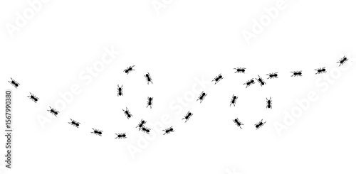 Silhouettes of ants marching in neat lines, showcasing teamwork and organization, Ant Trail Illustration - Black Line Ants Design