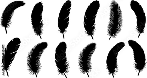 Set of silhouette feather vector collection
