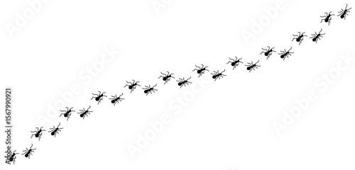 Silhouettes of ants marching in neat lines, showcasing teamwork and organization, Ant Trail Illustration - Black Line Ants Design