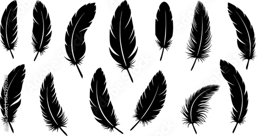Set of silhouette feather vector collection
