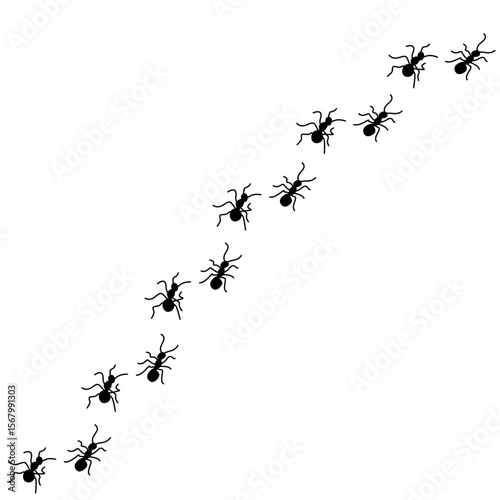 Silhouettes of ants marching in neat lines, showcasing teamwork and organization, Ant Trail Illustration - Black Line Ants Design