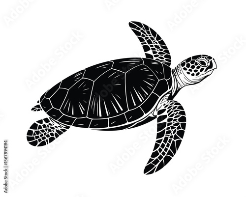 Majestic Sea Turtle: a monochromatic image of a sea turtle, gracefully navigating the oceanic depths, showcasing its intricate shell and powerful flippers.