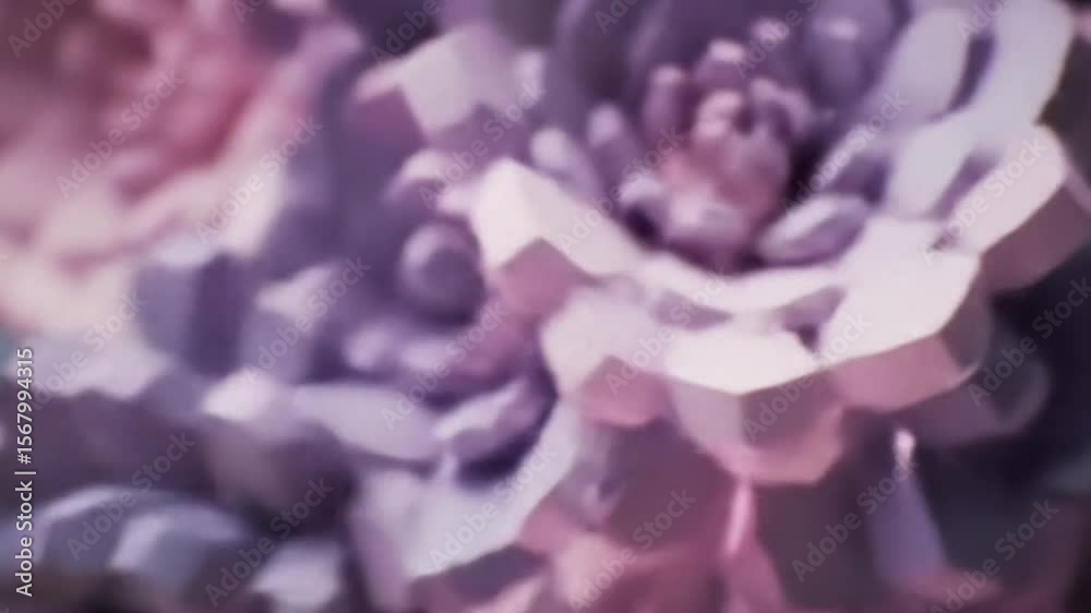 Abstract 3D animation of blooming flowers with polygon shapes and pastel colors